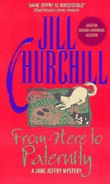 Jill Churchill From Here to Paternity обложка книги