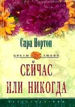 Сара Нортон Сейчас или никогда обложка книги