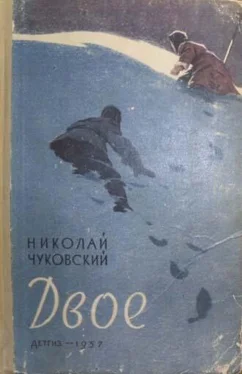 Николай Чуковский Двое обложка книги