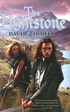 David Zindell The Lightstone обложка книги