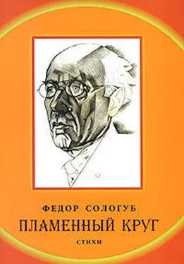 Федор Сологуб Пламенный круг обложка книги