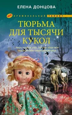 Елена Донцова Тюрьма для тысячи кукол обложка книги