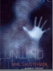 Нил Шустерман - Unwind