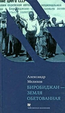 Александр Мелихов Биробиджан - земля обетованная обложка книги