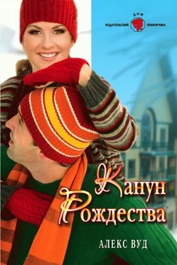 Алекс Вуд Канун Рождества обложка книги