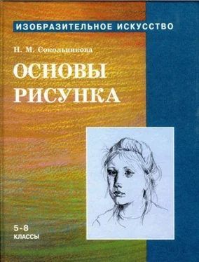 Наталья Сокольникова Основы рисунка для учащихся 5-8 классов обложка книги