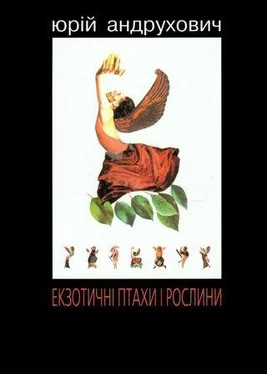 Юрій Андрухович Екзотичні птахи і рослини з додатком «Індія» обложка книги