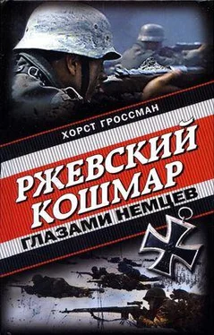 Хорст Гроссман Ржевский кошмар глазами немцев обложка книги