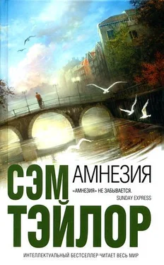 Сэм Тэйлор Амнезия обложка книги