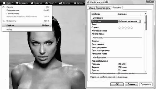 Рис 32 Заполнение формы свойств рисункаjpeg Оставим в покое мою Джоли и - фото 34