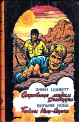 Эжен Шаветт - Французский авантюрный роман - Тайны Нью-Йорка ; Сокровище мадам Дюбарри [сборник]