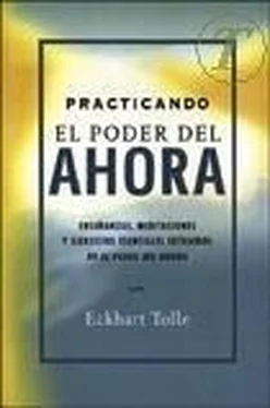 Eckhart Tolle Practicando El Poder Del Ahora обложка книги