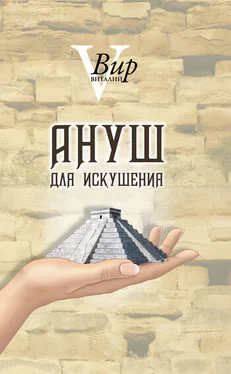 Виталий Вир Ануш для искушения обложка книги