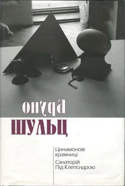 Бруно Шульц Цинамонові крамниці. Санаторій Під Клепсидрою обложка книги