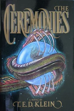 T Klein Ceremonies обложка книги