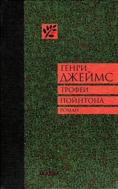 Генри Джеймс Трофеи Пойнтона обложка книги