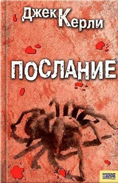 Джек Керли Послание обложка книги