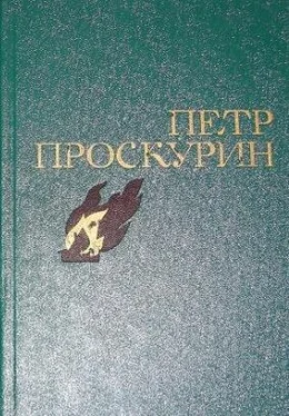 Петр Проскурин Избранное обложка книги