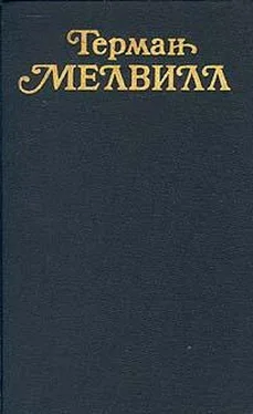 Герман Мелвилл Скрипач обложка книги