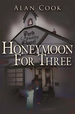 Alan Cook Honeymoon for Three обложка книги