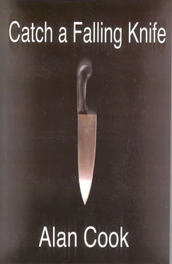 Alan Cook Catch a Falling Knife обложка книги