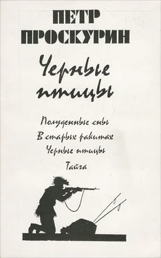 Петр Проскурин Черные птицы обложка книги