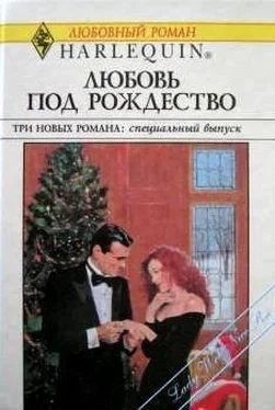 Ли Майклс Деловая женщина и Дед Мороз обложка книги