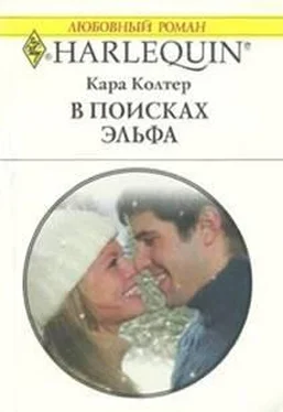 Кара Колтер В поисках эльфа обложка книги