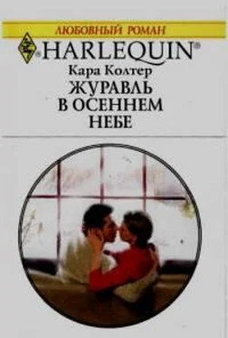 Кара Колтер Журавль в осеннем небе обложка книги