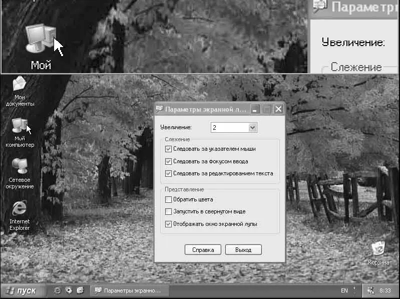 Рис 586 Экранная лупа Другие полезные программы Windows XP Рассмотрим еще - фото 164