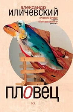 Александр Иличевский Пловец. Авторский сборник обложка книги