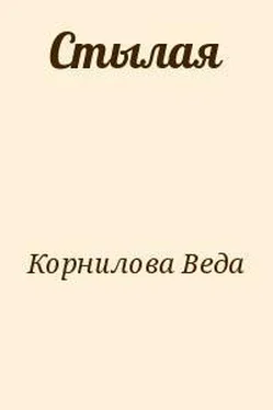 Веда Корнилова Стылая обложка книги