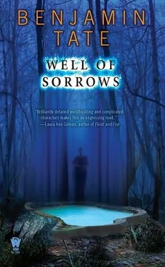 Benjamin Tate Well of Sorrows обложка книги