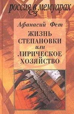 Афанасий Фет Жизнь Степановки, или Лирическое хозяйство обложка книги