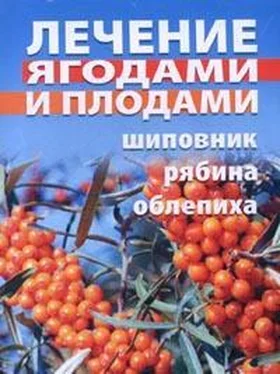 Таисия Батяева Лечение ягодами (рябина, шиповник, облепиха) обложка книги