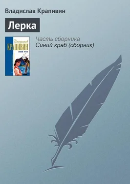 Владислав Крапивин Лерка обложка книги