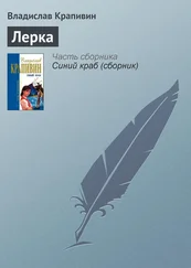 Владислав Крапивин - Лерка