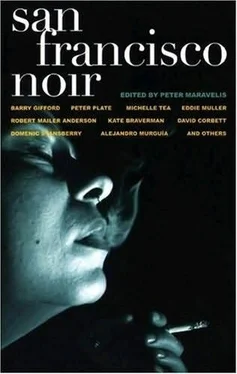 Peter Maravelis San Francisco Noir обложка книги