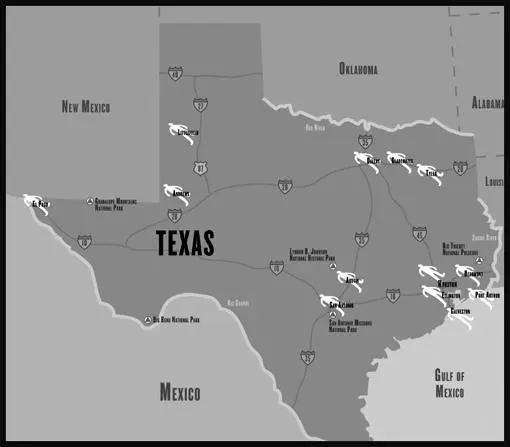 INTRODUCTION WHAT THE HELL IS TEXAS ANYWAY I dearly love the state of - фото 2