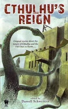 Darrel Schweitzer Cthulhu's Reign обложка книги