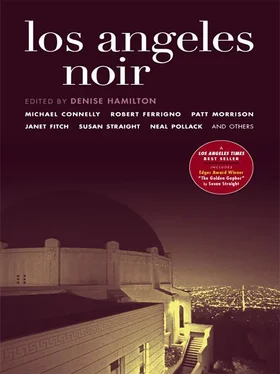 Denise Hamilton Los Angeles Noir обложка книги