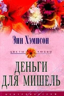 Энн Хэмпсон Деньги для Мишель обложка книги