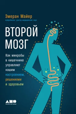 Эмеран Майер Второй мозг: Как микробы в кишечнике управляют нашим настроением, решениями и здоровьем обложка книги