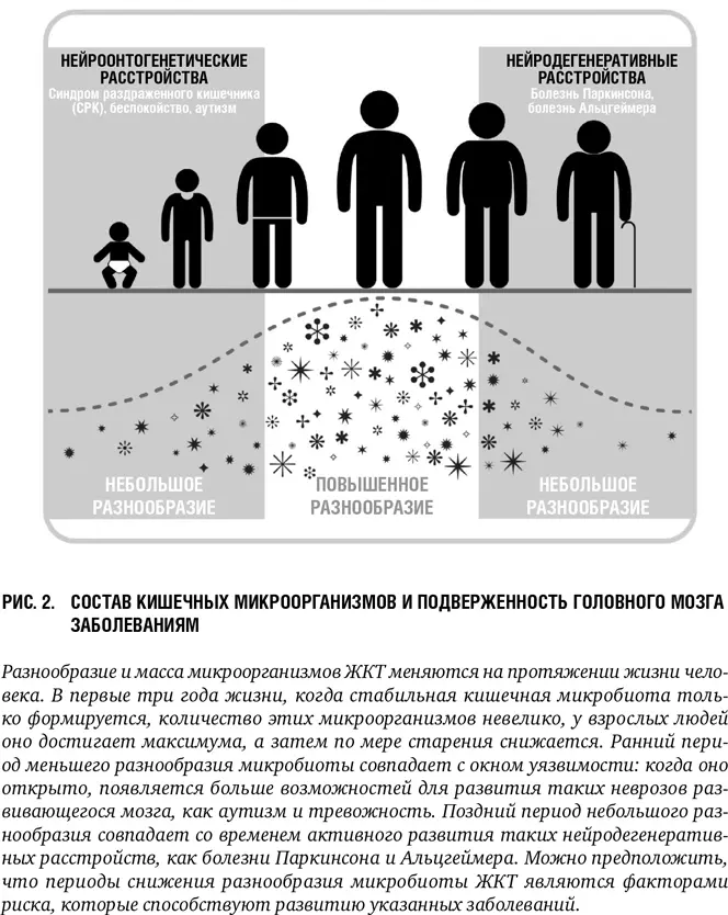 С помощью новых технологий мы обнаруживаем и описываем различные популяции - фото 3