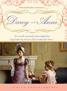 Judith Brocklehurst Darcy and Anne обложка книги