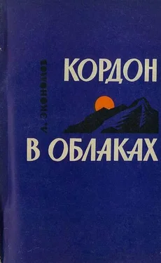 Лев Экономов Кордон в облаках обложка книги