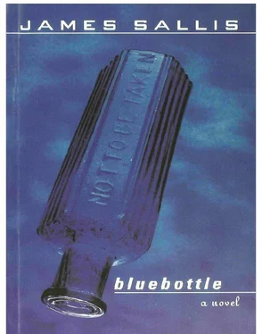 James Sallis Bluebottle обложка книги