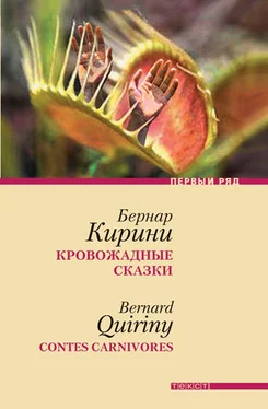 Бернар Кирини Кровожадные сказки обложка книги
