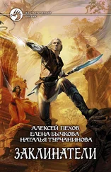 Алексей Пехов - Заклинатели