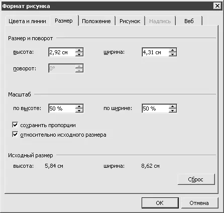 Рис 1021Уменьшение размера изображения средствами Microsoft Word Paint - фото 178